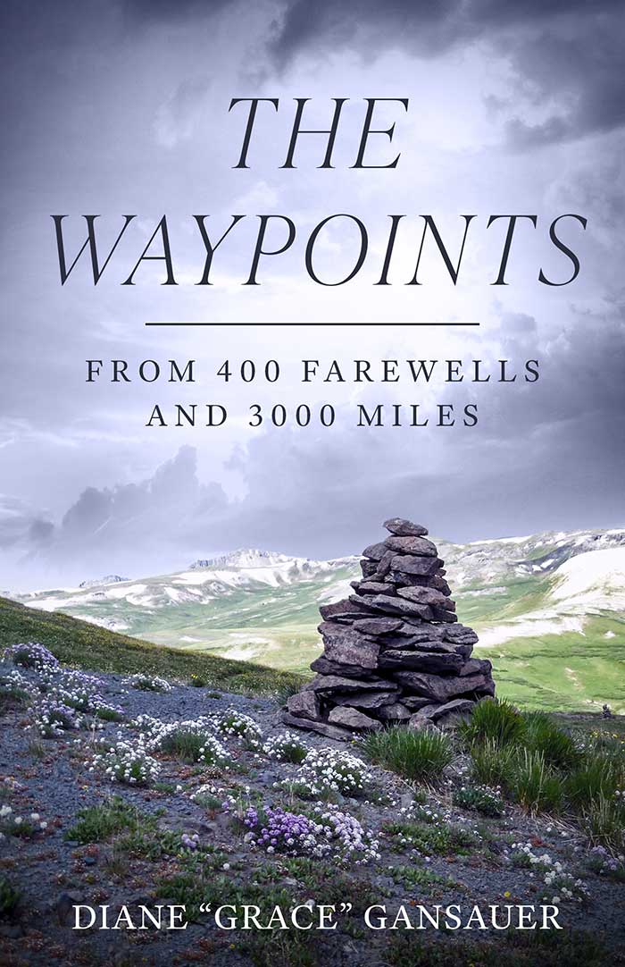 Diane Gansauer's book, The Waypoints